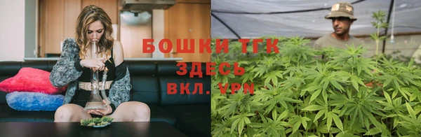 ПСИЛОЦИБИНОВЫЕ ГРИБЫ Алексин