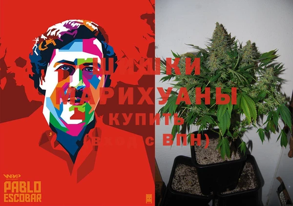 ПСИЛОЦИБИНОВЫЕ ГРИБЫ Алексин
