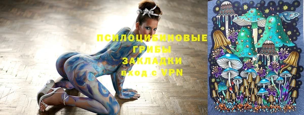кокс Алзамай