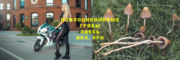 индика Алексеевка