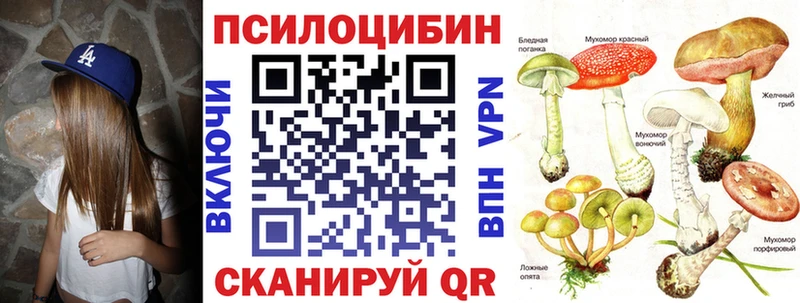 мориарти наркотические препараты  цены наркотик  Сухой Лог  Галлюциногенные грибы Psilocybe 