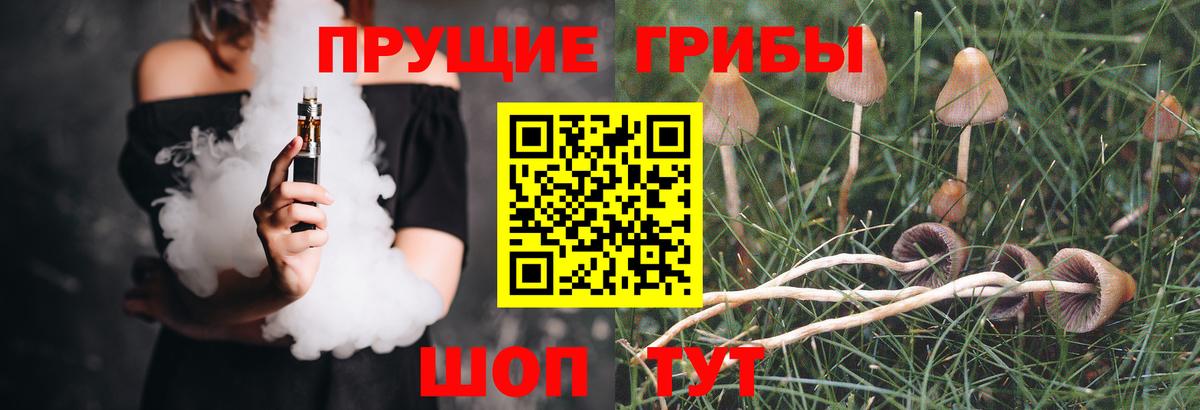 КОКАИН Сухой Лог